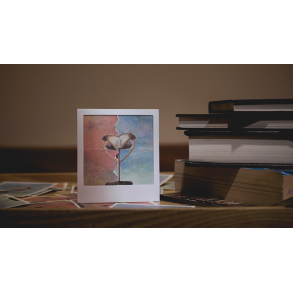 MEMORY by Balala Zheng & Billy Yeung.