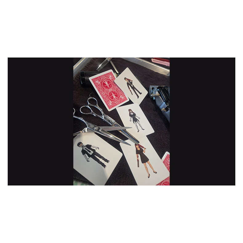 Wild Z by Brent Geris and Koko Babochian