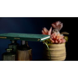 The Hummingbirds by Luke Jermay