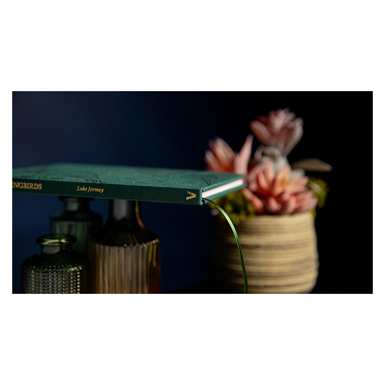 The Hummingbirds by Luke Jermay