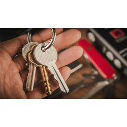 Swiss Key by Nicholas Lawrence and Hanson Chien