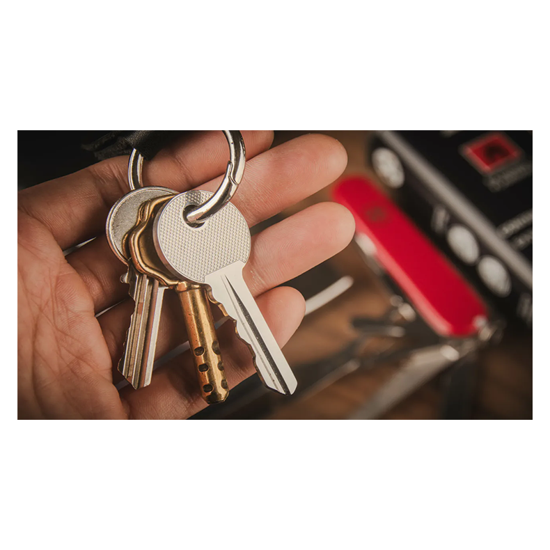 Swiss Key by Nicholas Lawrence and Hanson Chien