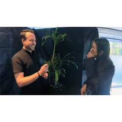 Echo Book Test by Vincent Hedan (Rider-Waite Tarot)