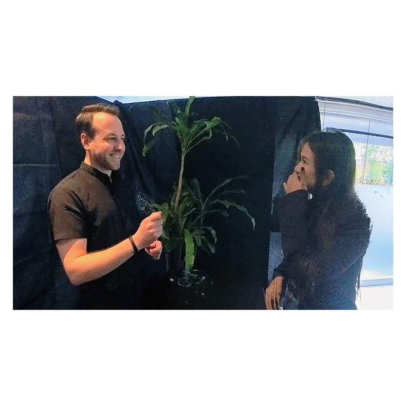 Echo Book Test by Vincent Hedan (Rider-Waite Tarot)