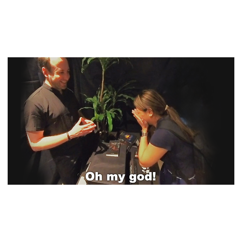 Echo Book Test by Vincent Hedan (Tarot de Marseille)