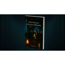 Echo Book Test by Vincent Hedan (Tarot de Marseille)