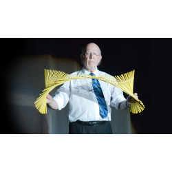 Nankin Tamasudare by Martin Lewis