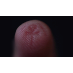 The Artefact by Matthew Wright