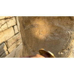 Bronze Enigma by Jackie Zhao and JT Magic.