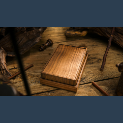 Precog by Classicho &amp; Paul Carnazzo