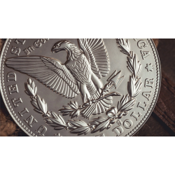 Bacon Jumbo Coin (Morgan) by Bacon Magic