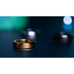 Nova Rings by Carisa Hendrix