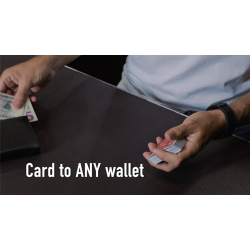 Divisa by Adrian Vega