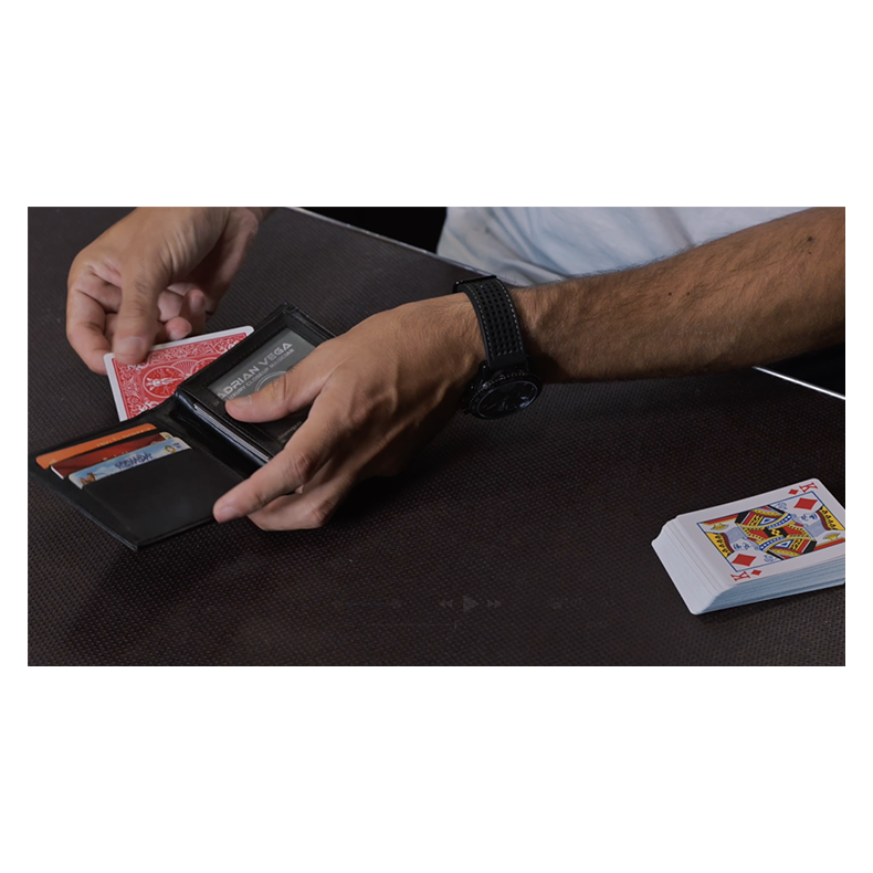 Divisa by Adrian Vega