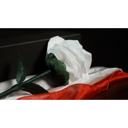 Fantasy Rose by Leon, Bond Lee