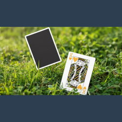North Wind Beacon Playing Cards by WohStudios