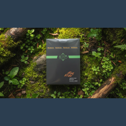 North Wind Beacon Playing Cards by WohStudios