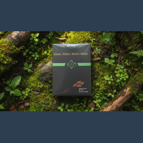 North Wind Beacon Playing Cards by WohStudios
