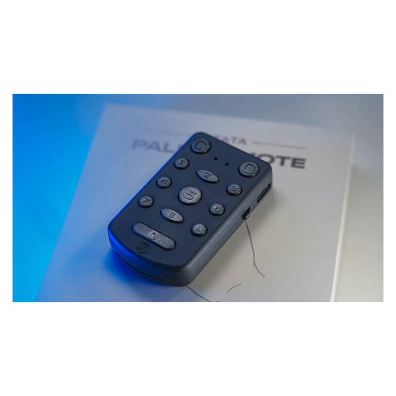 PITATA Palm Remote