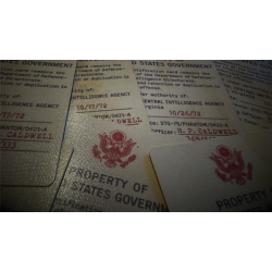 Gemini Files by Dead Rebel Magic