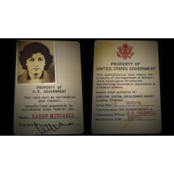 Gemini Files by Dead Rebel Magic