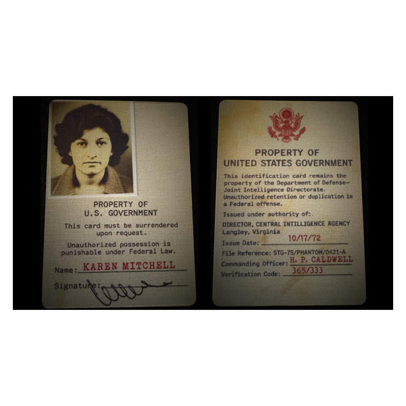 Gemini Files by Dead Rebel Magic