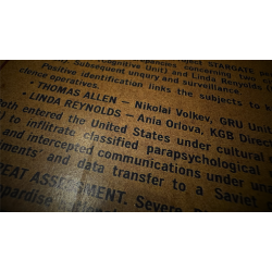 Gemini Files by Dead Rebel Magic