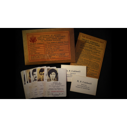 Gemini Files by Dead Rebel Magic