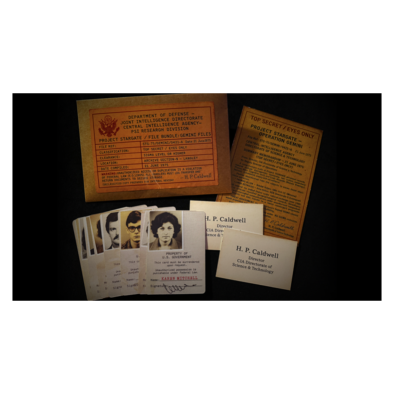 Gemini Files by Dead Rebel Magic