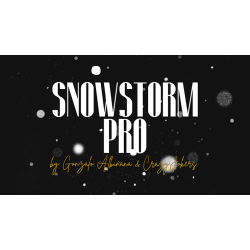 SnowStorm Pro by Gonzalo Albi�ana and CrazyJokers