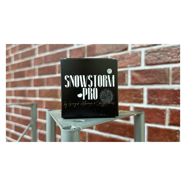 SnowStorm Pro by Gonzalo Albi�ana and CrazyJokers