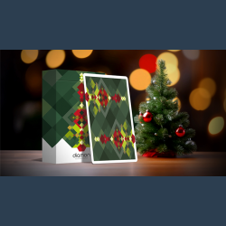 Diamon Playing Cards N&Acirc;&deg; 24 by Dutch Card House Company