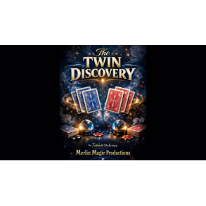 The Twin Discovery by Fabien Delvoye