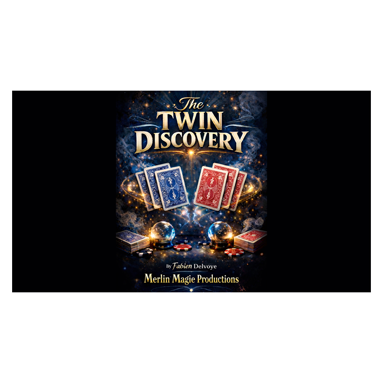 The Twin Discovery by Fabien Delvoye