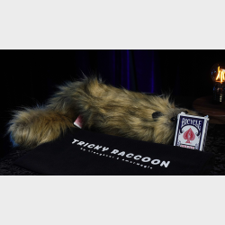 Tricky Raccoon by Liang Kuai &amp; Amor Magic