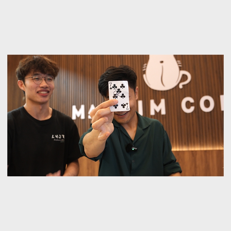 Tricky Raccoon by Liang Kuai &amp; Amor Magic