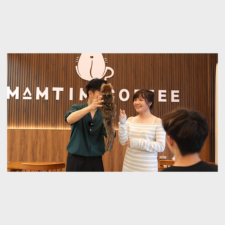 Tricky Raccoon by Liang Kuai &amp; Amor Magic