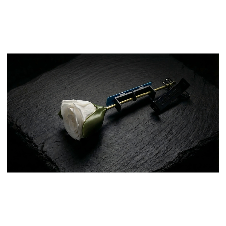 Project H: Rose Holder by J.S.M. Studio