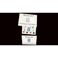 Are You Sure? by Damien Vappereau and Marc C�liandre