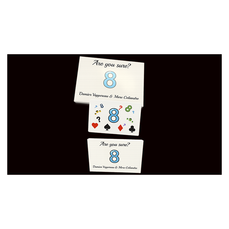 Are You Sure? by Damien Vappereau and Marc C�liandre