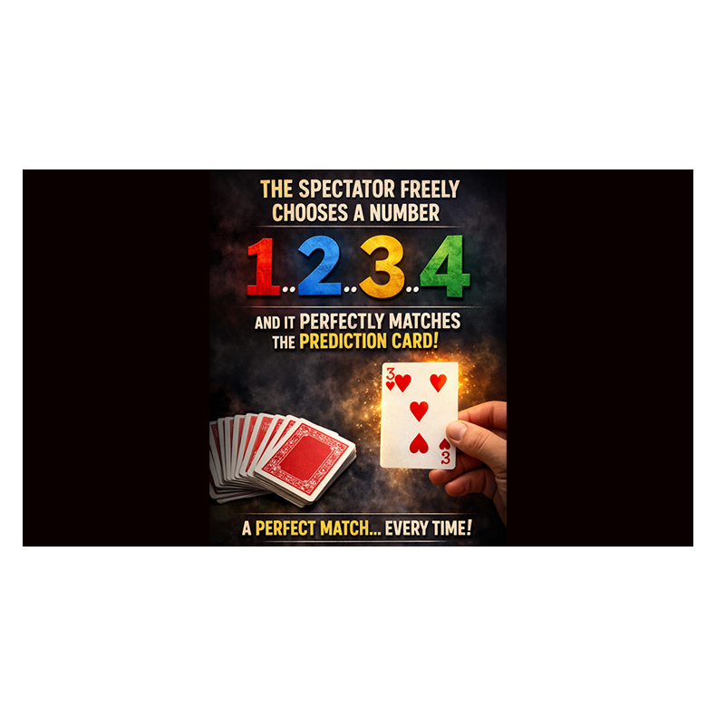 Are You Sure? by Damien Vappereau and Marc C�liandre