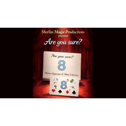 Are You Sure? by Damien Vappereau and Marc C�liandre