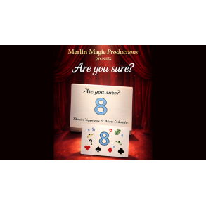 Are You Sure? by Damien Vappereau and Marc C�liandre