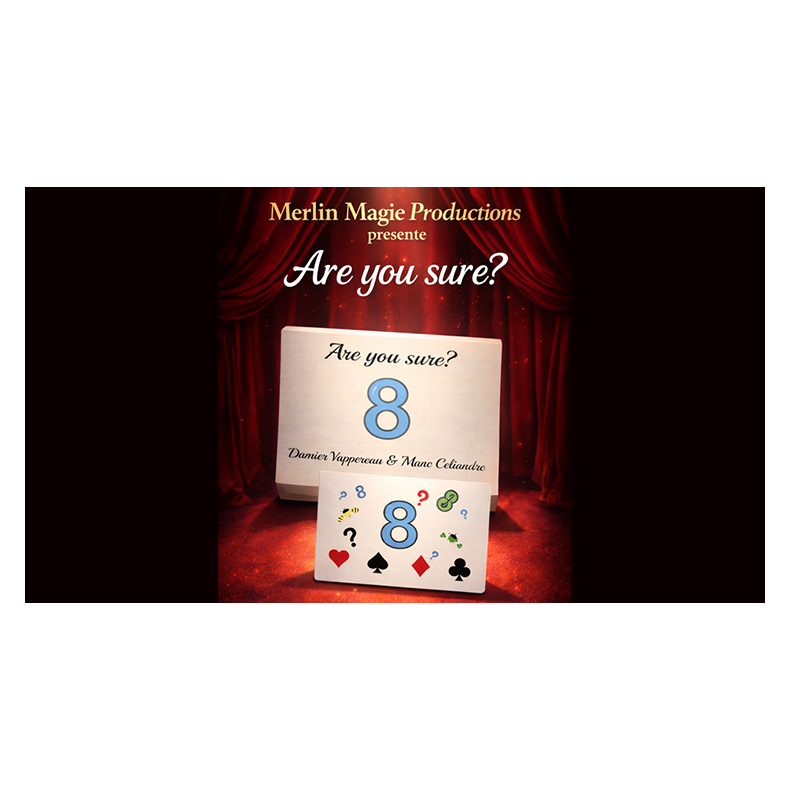 Are You Sure? by Damien Vappereau and Marc C�liandre