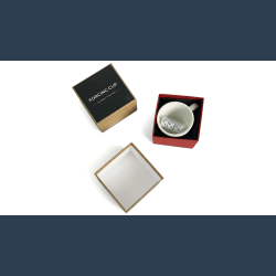 Forcing Cup Dice Set by Magic Express