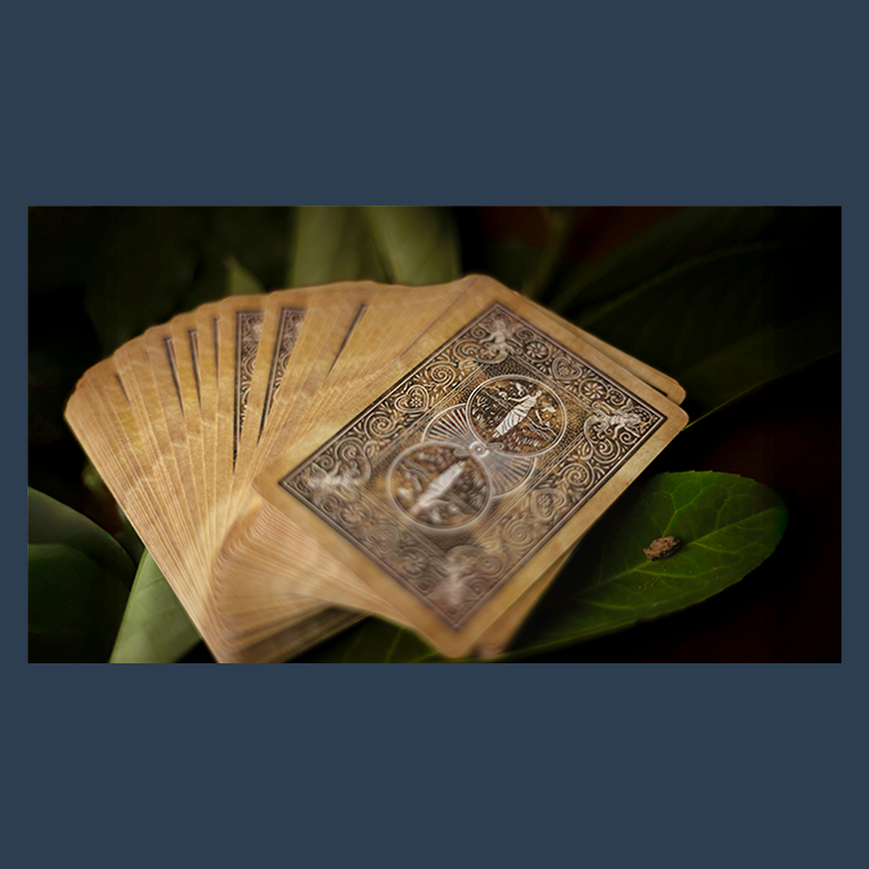 Eden by Sylvain Mirouf and Magic Dream