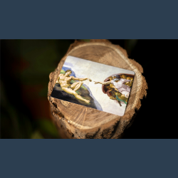 Eden by Sylvain Mirouf and Magic Dream