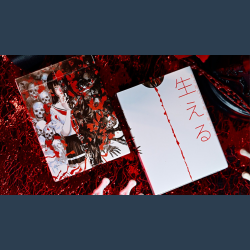 Darkwood Playing Cards by Evokad