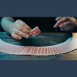 Bill Flash Card by Gentlemen's Magic X Michael Chatelain
