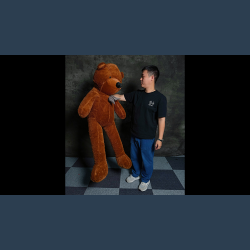 Teddy Bear Appearance (Extra Large) by MS Magic